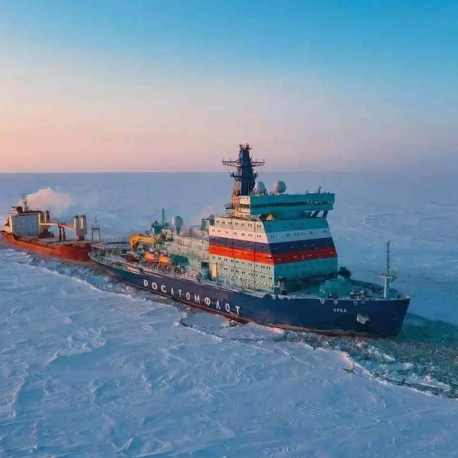 How does Chinese involvement in rare earth elements and Arctic security push Donald Trump for demanding Greenland 