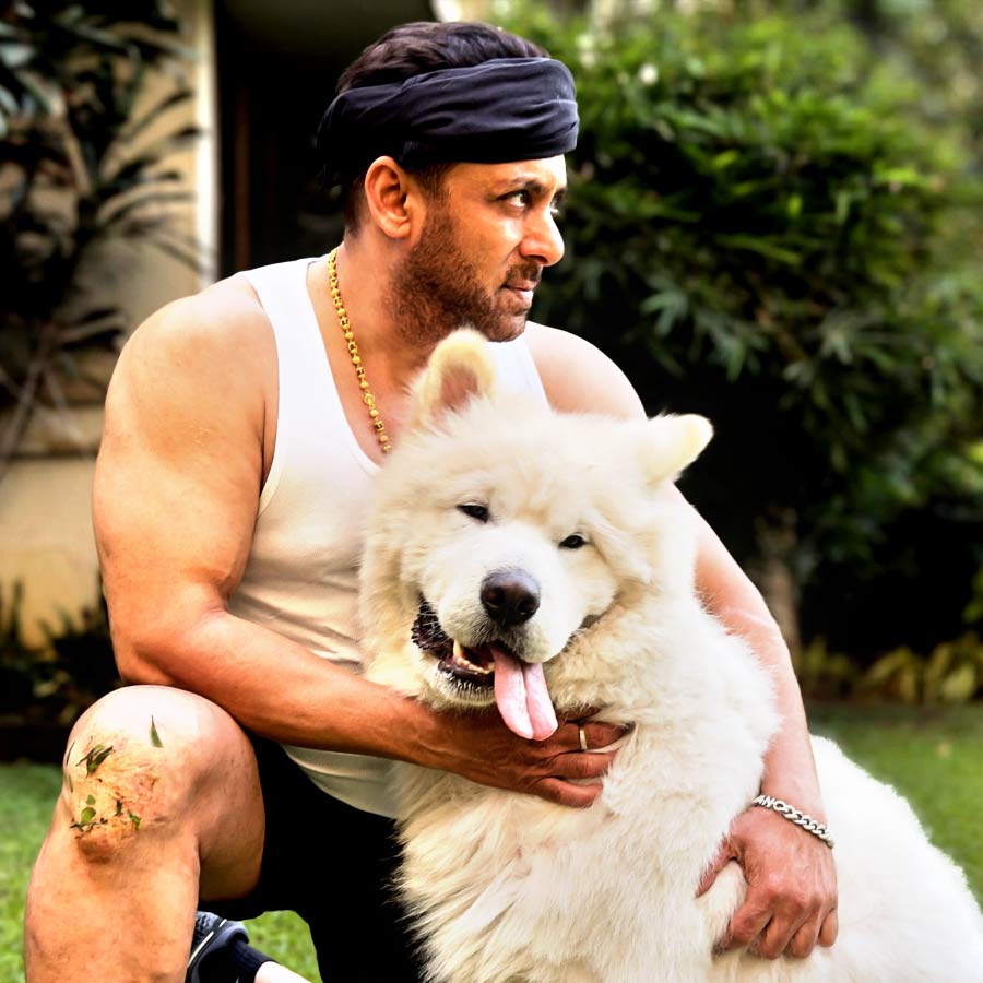 সলমন খানের বিলাসব্যসন!