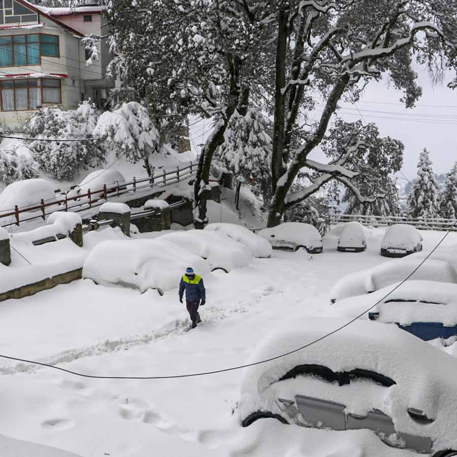 ভারী তুষারপাত শিমলায়।