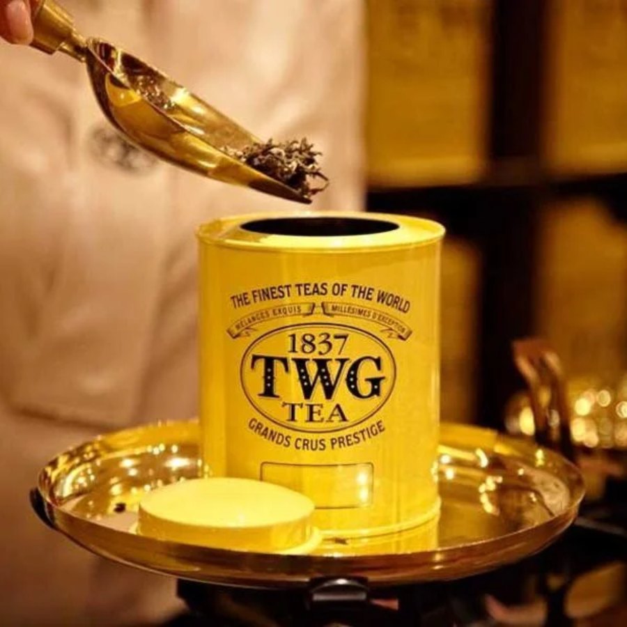 ইয়েলো গোল্ড টি বাডস।