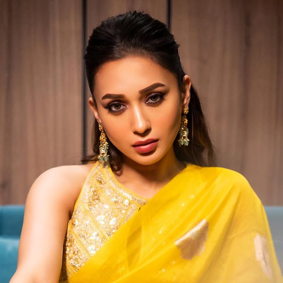 বনগাঁকাণ্ড নিয়ে আর কী বললেন মিমি চক্রবর্তী?