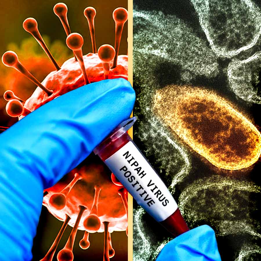 Chinese Scientists Claim Covid Drug Could Save Lives of Nipah Virus Patients