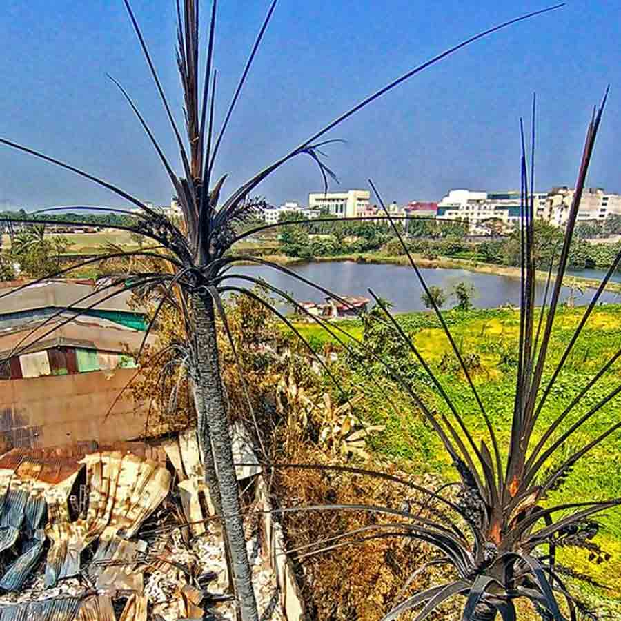 জলাভূমির অংশ দখল করে তৈরি হয়েছিল গুদাম।