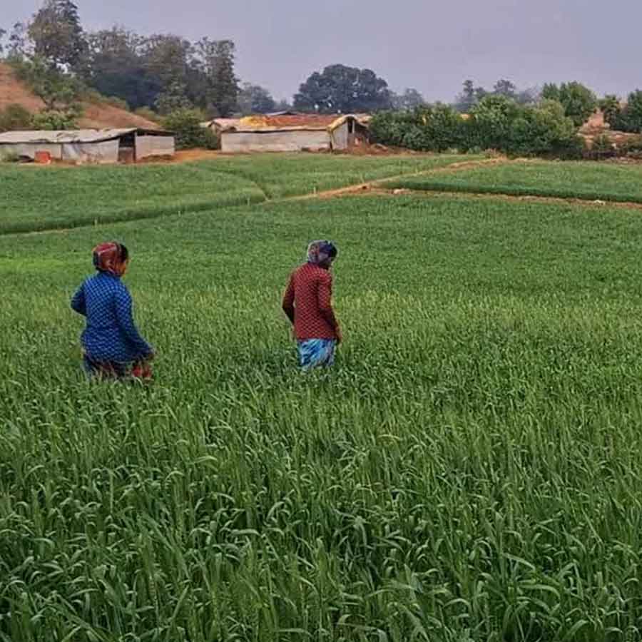 All need to know about Ajit Pawar’s Family Tree as NCP leader dies in plane crash