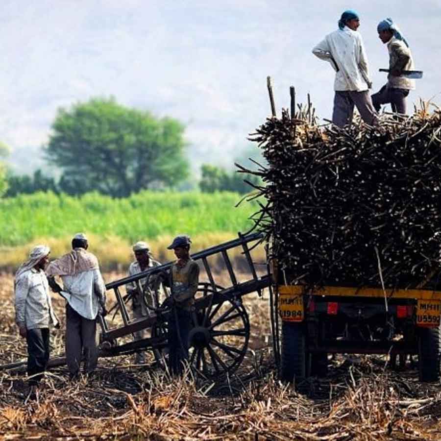 All need to know about Ajit Pawar’s Family Tree as NCP leader dies in plane crash