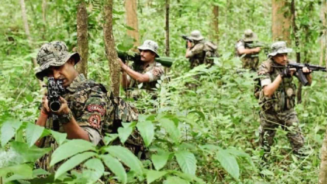 মাওবাদীদের খোঁজে তল্লাশি অভিযান জারি। ছবি: সংগৃহীত।