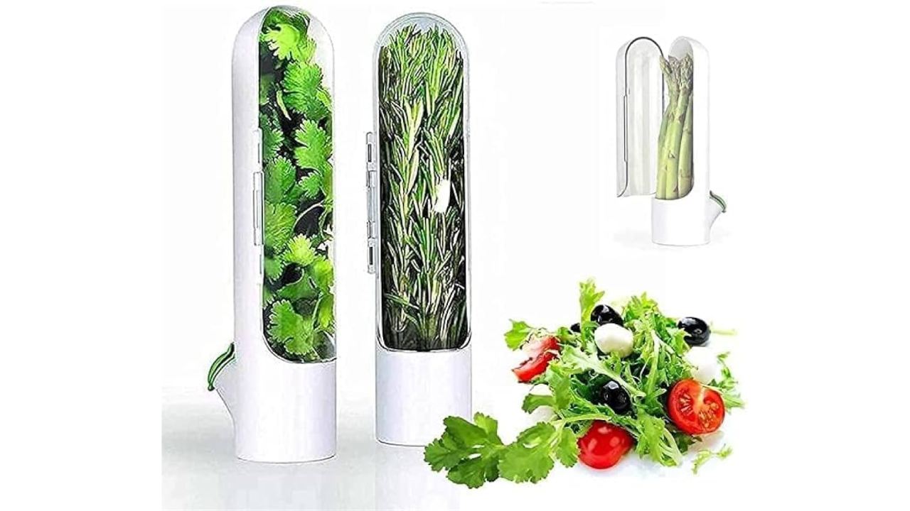 ধনেপাতা-পুদিনাপাতা সংরক্ষণের কৌটো।