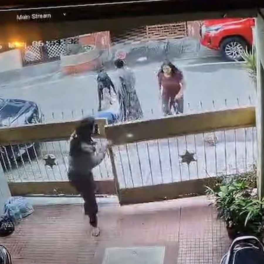 Dog attacked woman in Bengaluru, adnitted to hospital dgtl