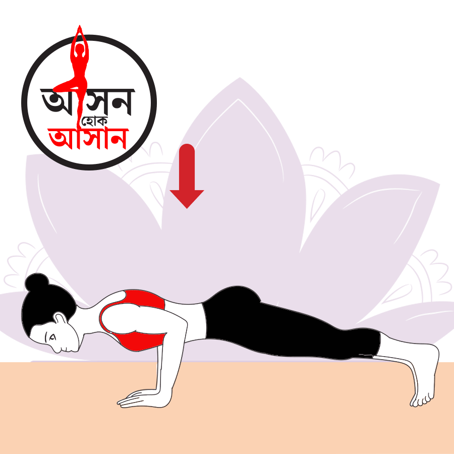 What are the health benefits of phalakasana Yoga pose