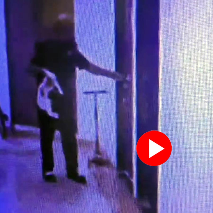 Video of Disabled Stray Cat Thrown From 7th Floor By Watchman In Mumbai dgtl