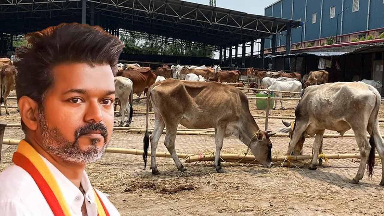 Tamil Nadu govt moves to SC against the order of Madras High court on cow slaughter ban