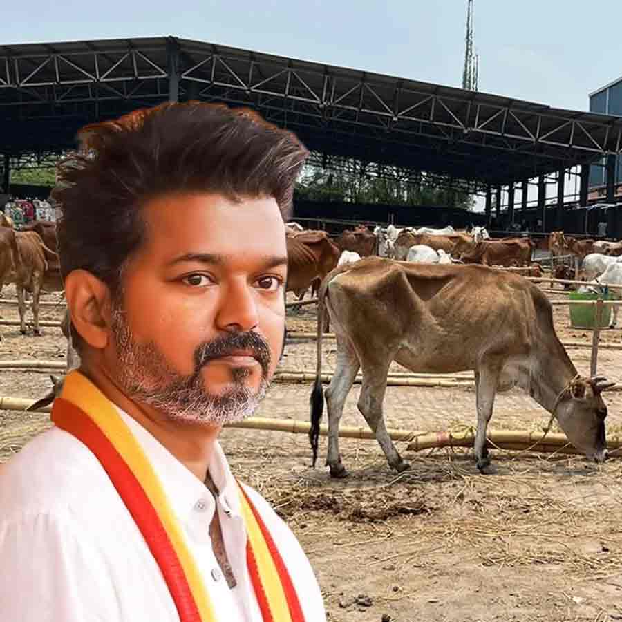 Tamil Nadu govt moves to SC against the order of Madras High court on cow slaughter ban