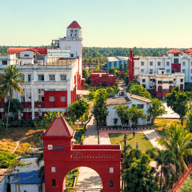Why a University Degree is No Longer Enough for the Job Market dgtl