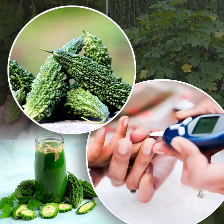 করলা কি সত্যিই সুগার কমায়?