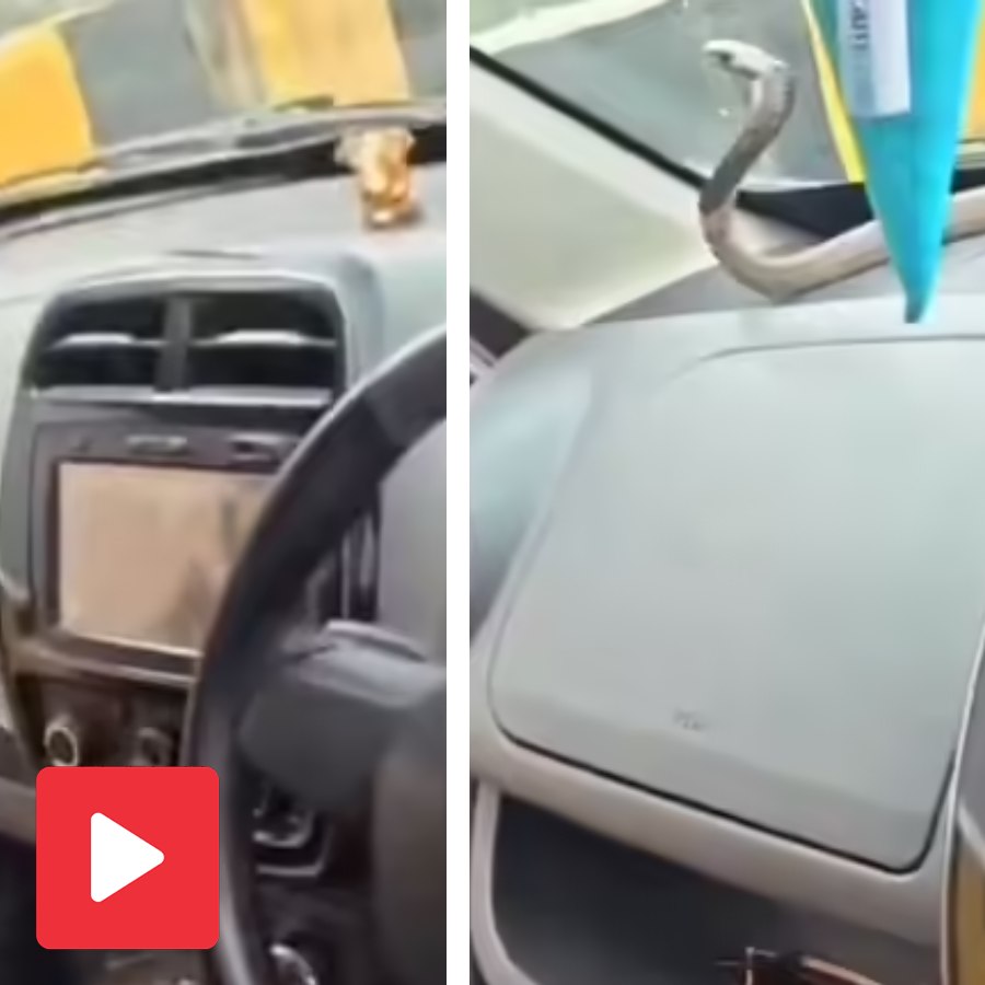 A traffic police head constable swiftly rescued a venomous cobra from a woman's car dashboard on Ghaziabad dgtl