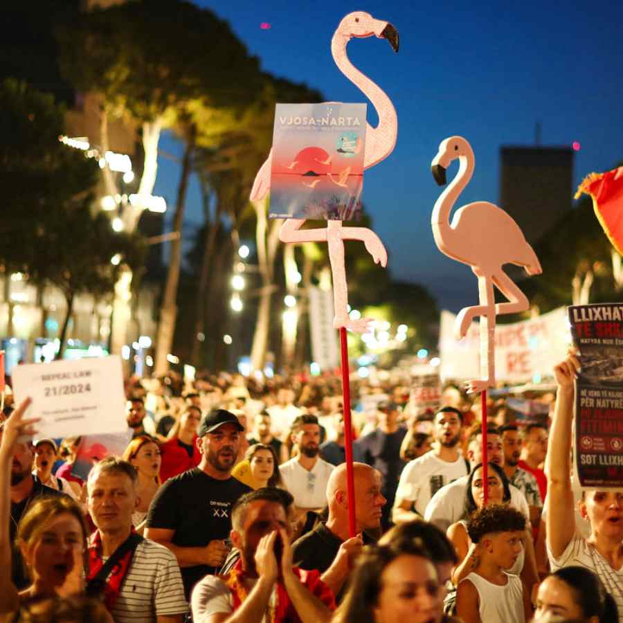 Why massive protest named Flamingo Revolution started in Albania against US President Donald Trump and his son in law Jared Kushner