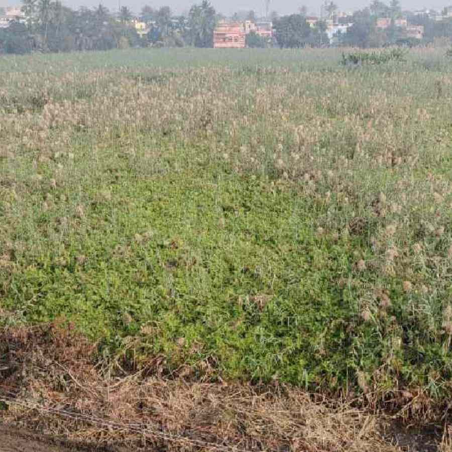 শশাঙ্ক বিল
