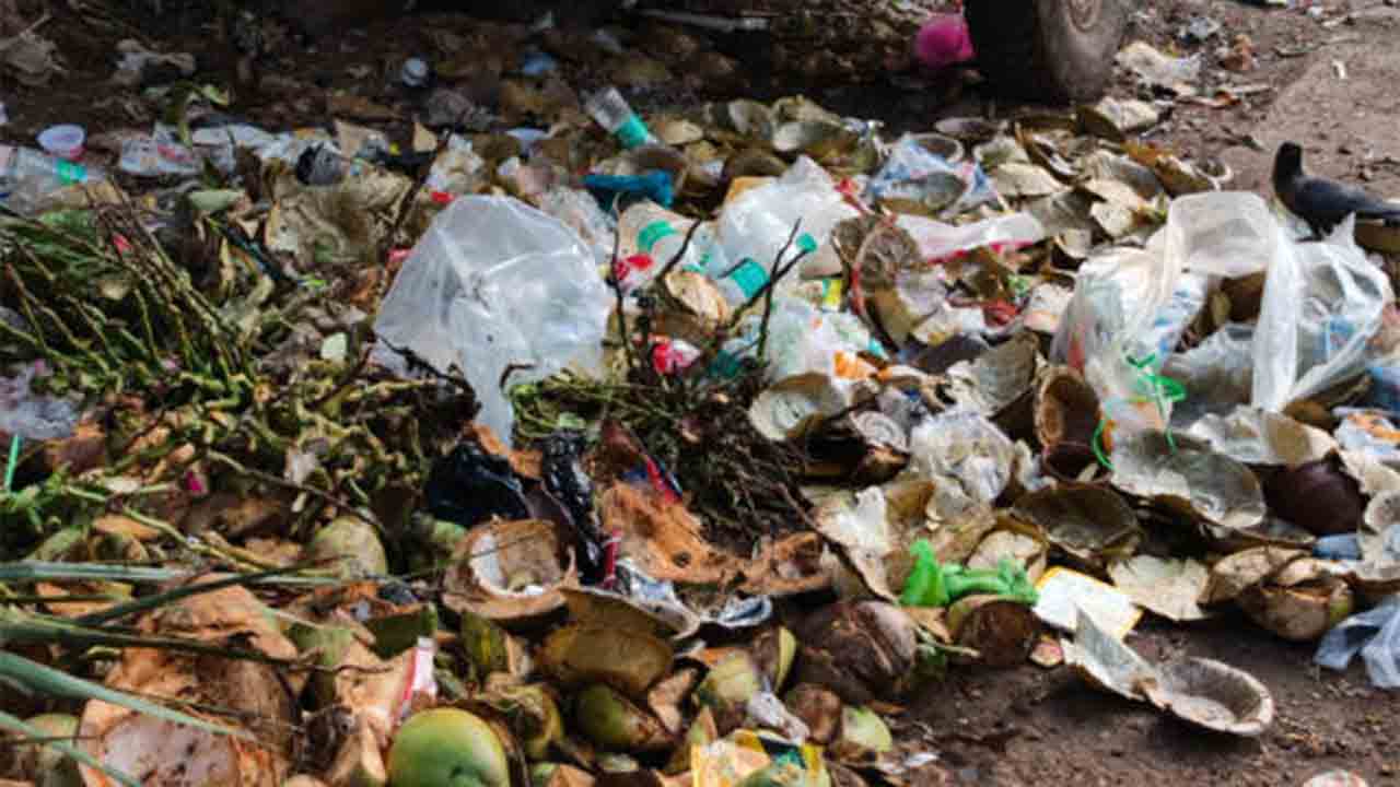 রাস্তার ধারে পড়ে আছে আবর্জনা। সিউড়িতে।