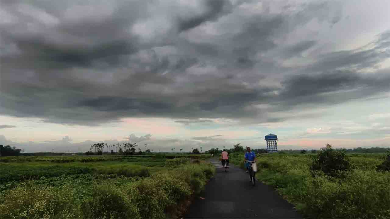 বৃষ্টি নামার আগে। শুক্রবার দত্তপুকুরের কাশীমপুরে।