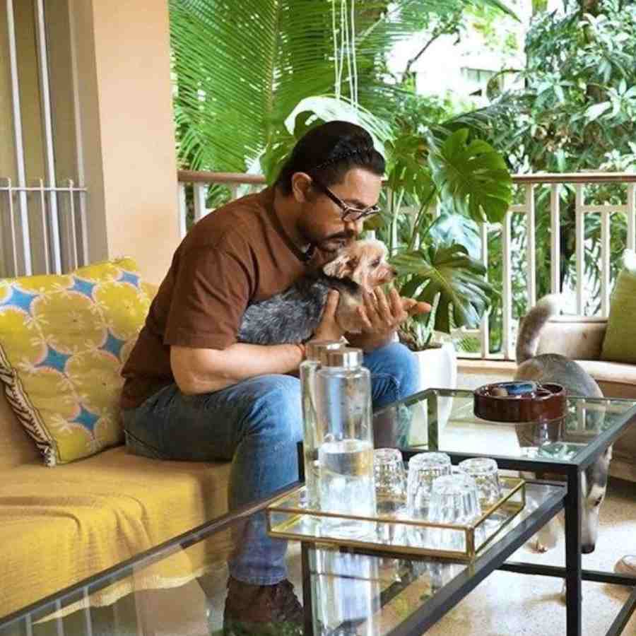 ছিমছাপ সাজ, কোনও জাঁকজমক নেই।