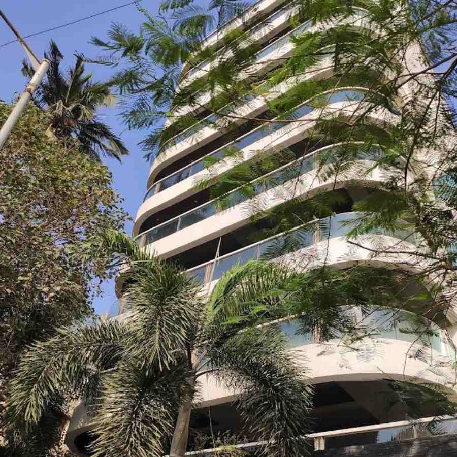 বান্দ্রায় ৭০ কোটির বাড়ি গাছপালা দিয়েই সাজিয়েছেন আমির।