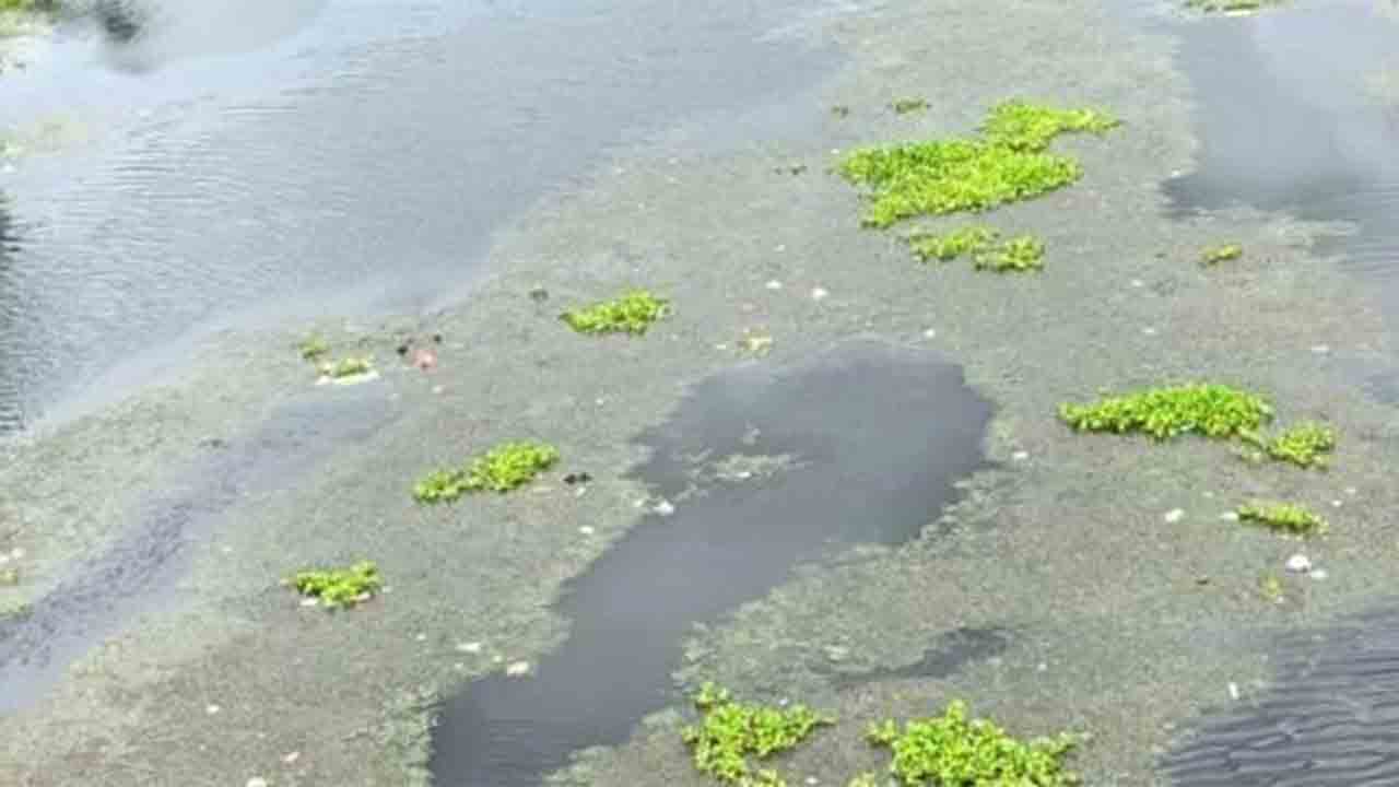 নদীতে আবর্জনা। পলাশিপাড়ায়।