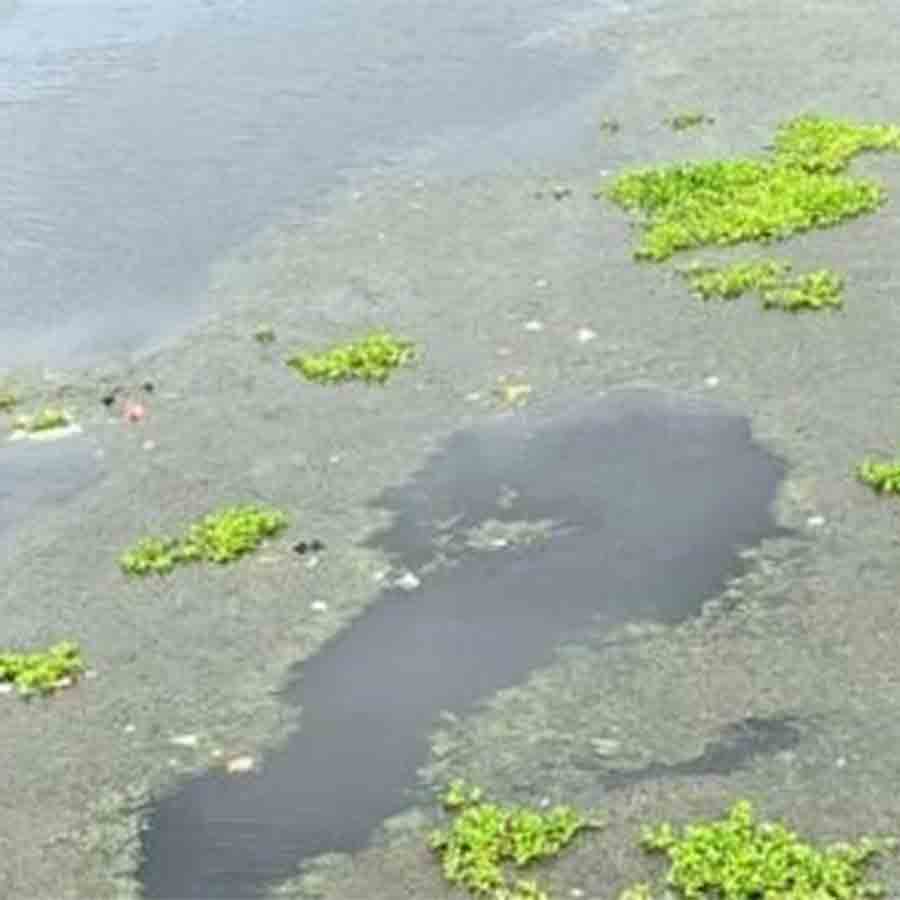 Demand for river restoration