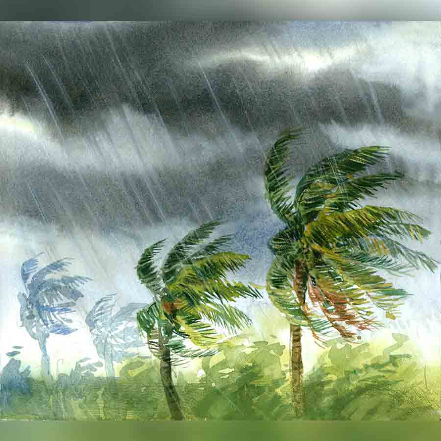 ছবি: তারকনাথ মুখোপাধ্যায়