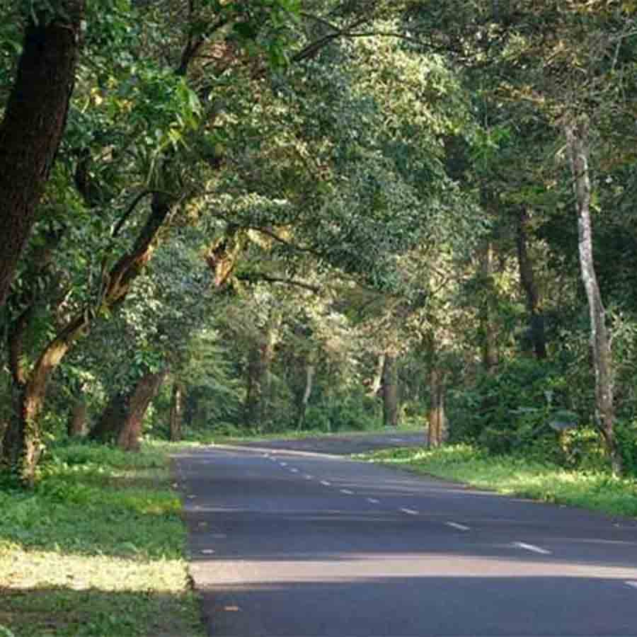 State Government to take strict measures against illegal resorts at Dooars