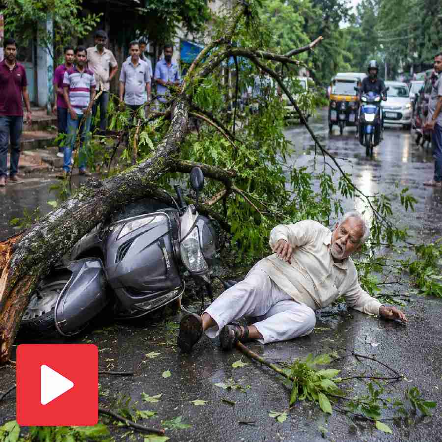 A video shows an elderly man suffered serious injuries after a roadside tree fell on him dgtl