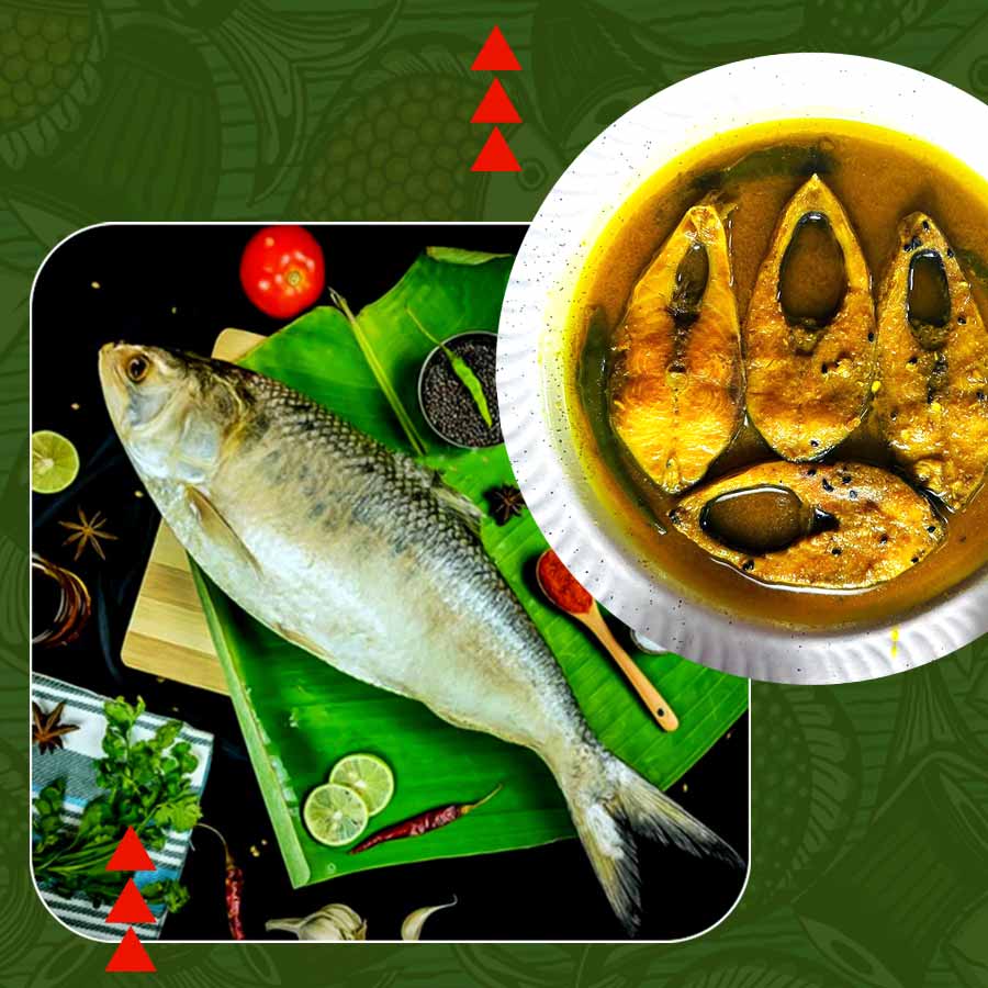 7 oily fishes including Hilsa Benefits and disadvantages dgtl