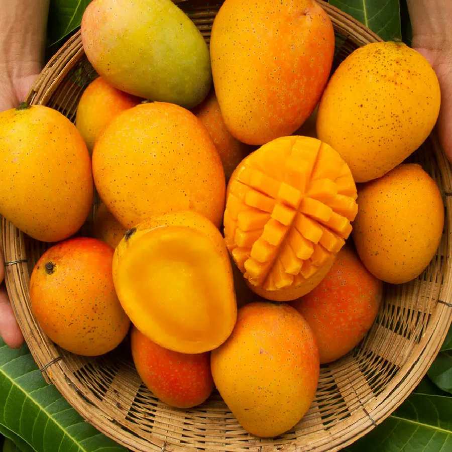 Why you need to soak mango before eating