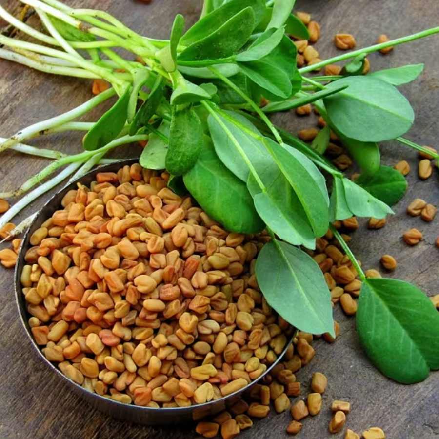 রোজের খাবারে মেথি যোগ করার কৌশল।