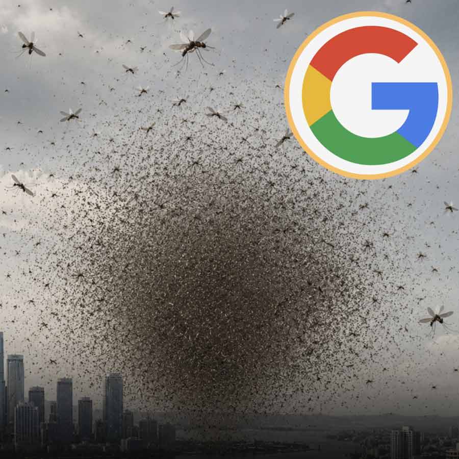 Google’s mosquito control project