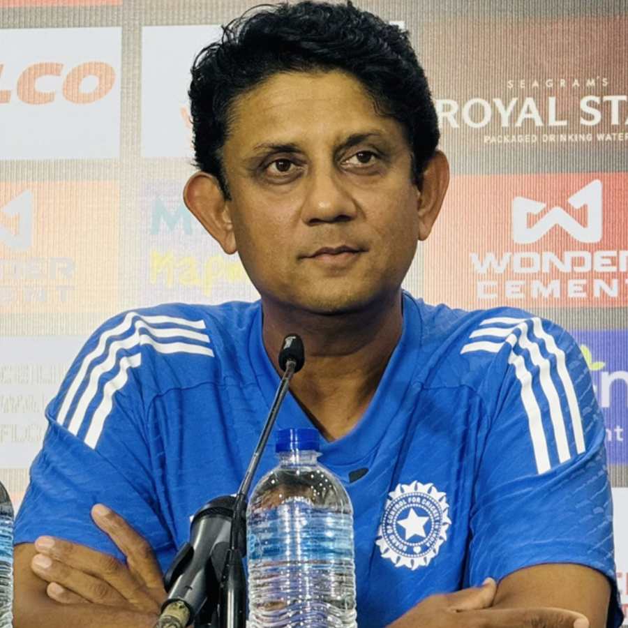picture of cricket