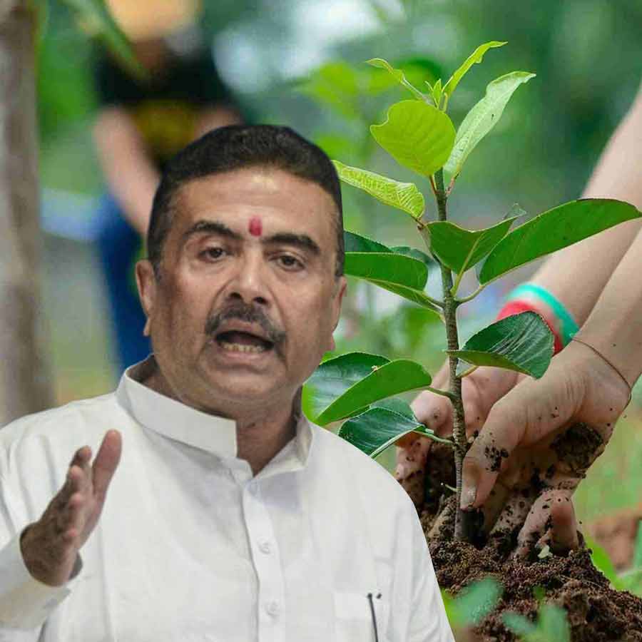 বৃক্ষরোপণের বার্তা মুখ্যমন্ত্রী শুভেন্দু অধিকারীর।