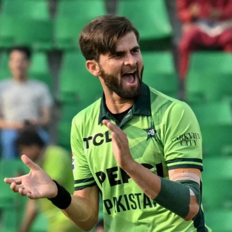picture of cricket