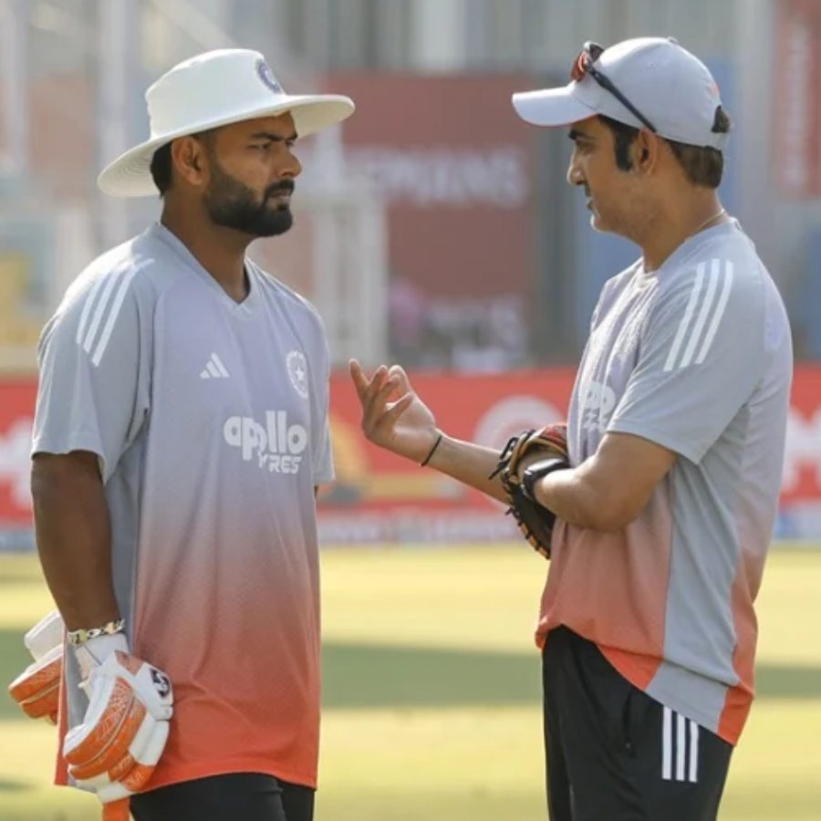picture of cricket