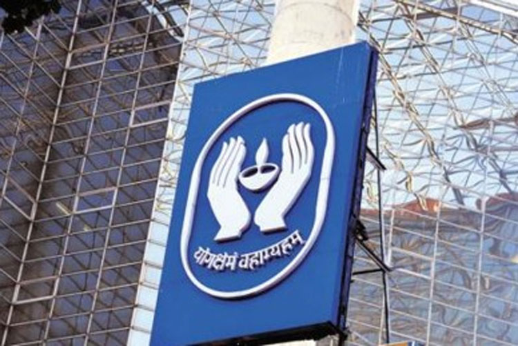 Mutual Funds did not invest in Rajesh Export for last 10 years, while LIC stake holding increases 5 times 