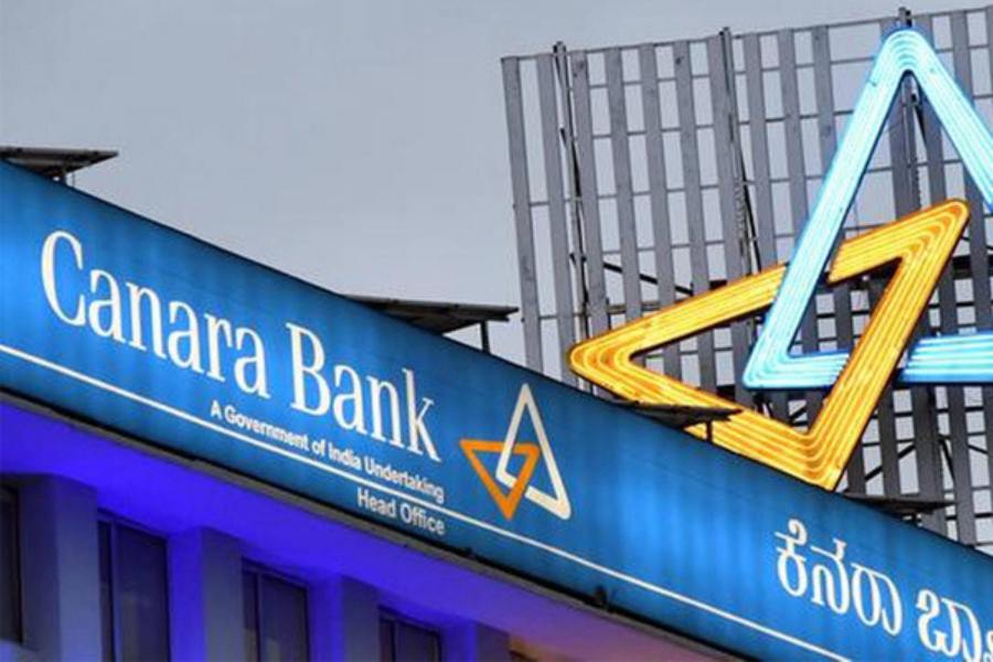 Mutual Funds did not invest in Rajesh Export for last 10 years, while LIC stake holding increases 5 times 