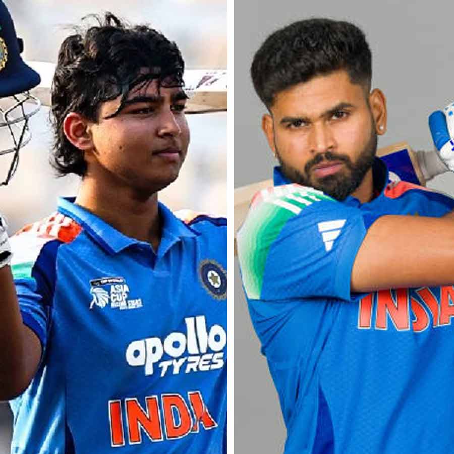 picture of cricket