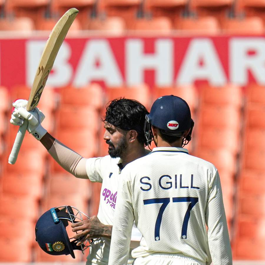 picture of cricket