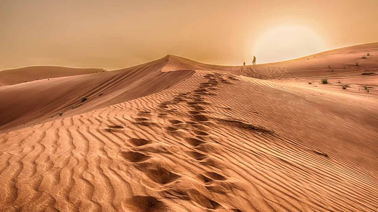 Saudi Arabia imports sand despite dominated by desert