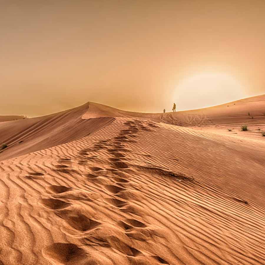 Saudi Arabia imports sand despite dominated by desert