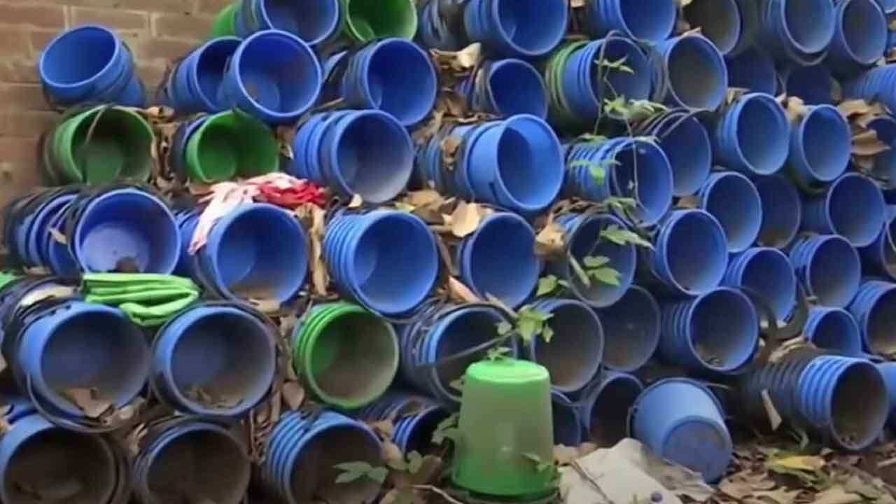 Kolkata Municipal Corporation Ward 116 councilor Krishna Singh accused of hoarding garbage bins