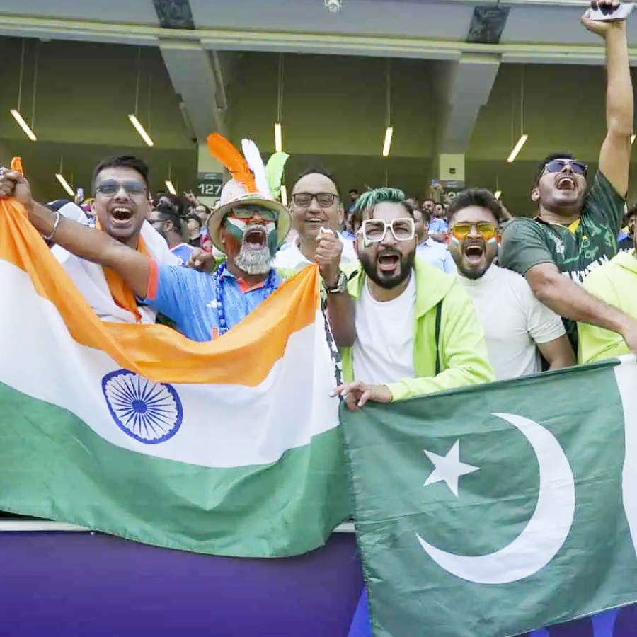 cricket