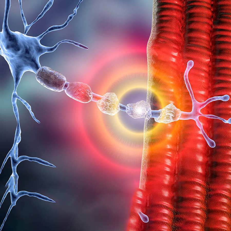 What is Multiple Sclerosis, what are the early symptoms of this disease