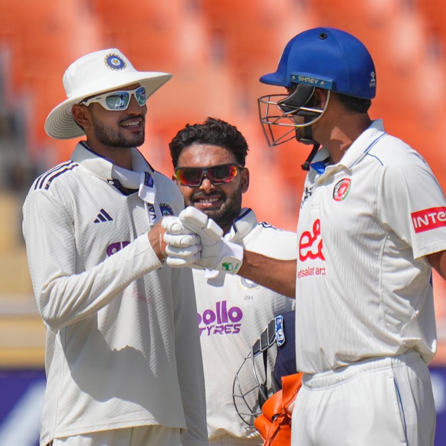 picture of cricket