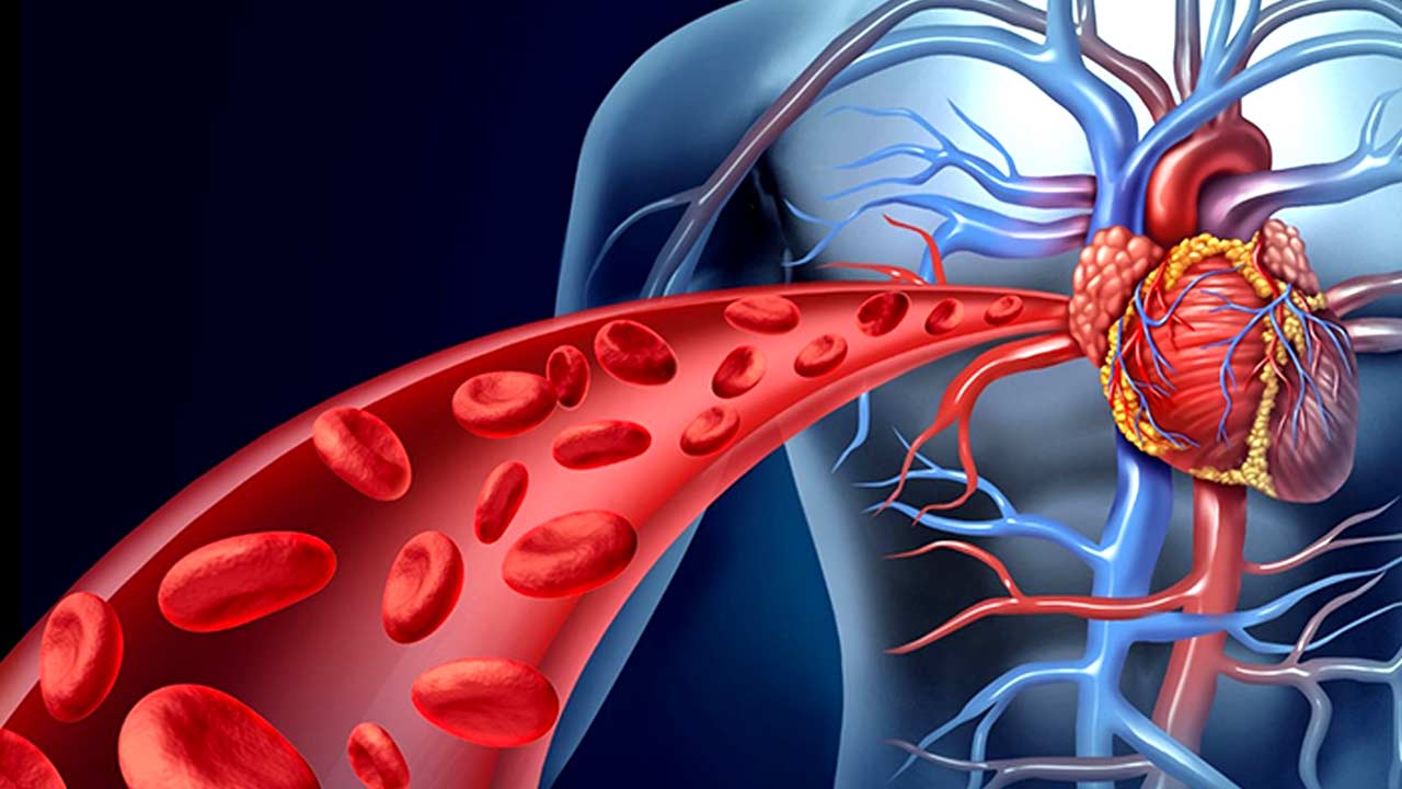 How to increase blood circulation in your body with 5 habits