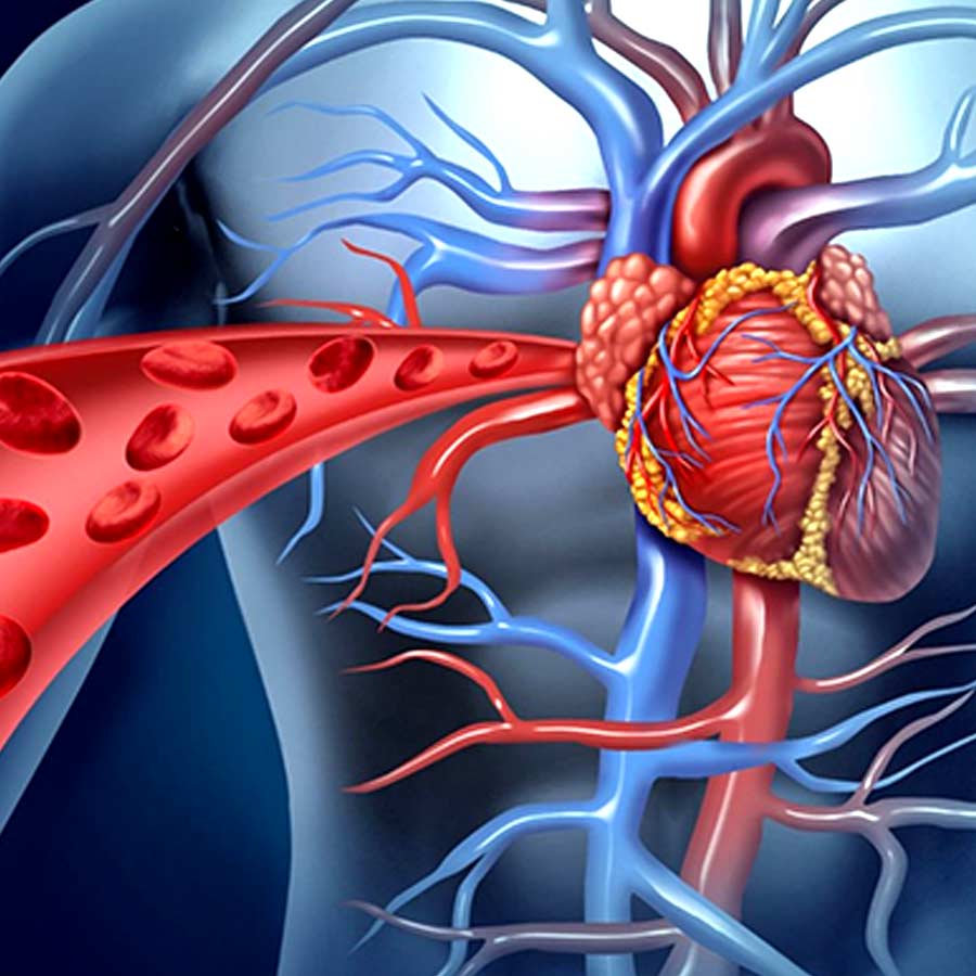 How to increase blood circulation in your body with 5 habits